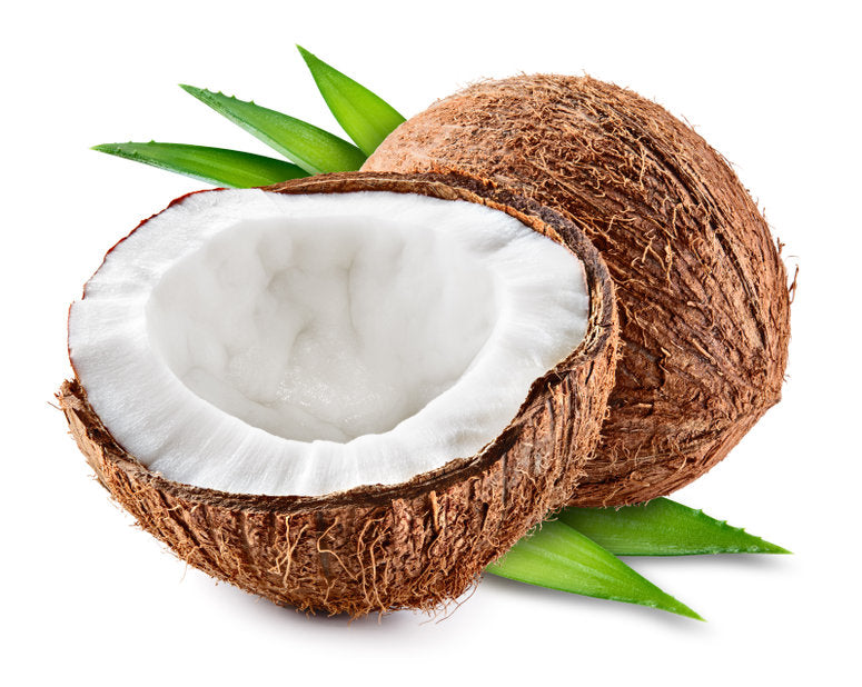 AMTicide Coconut Natural Preservative & Skin Conditioner