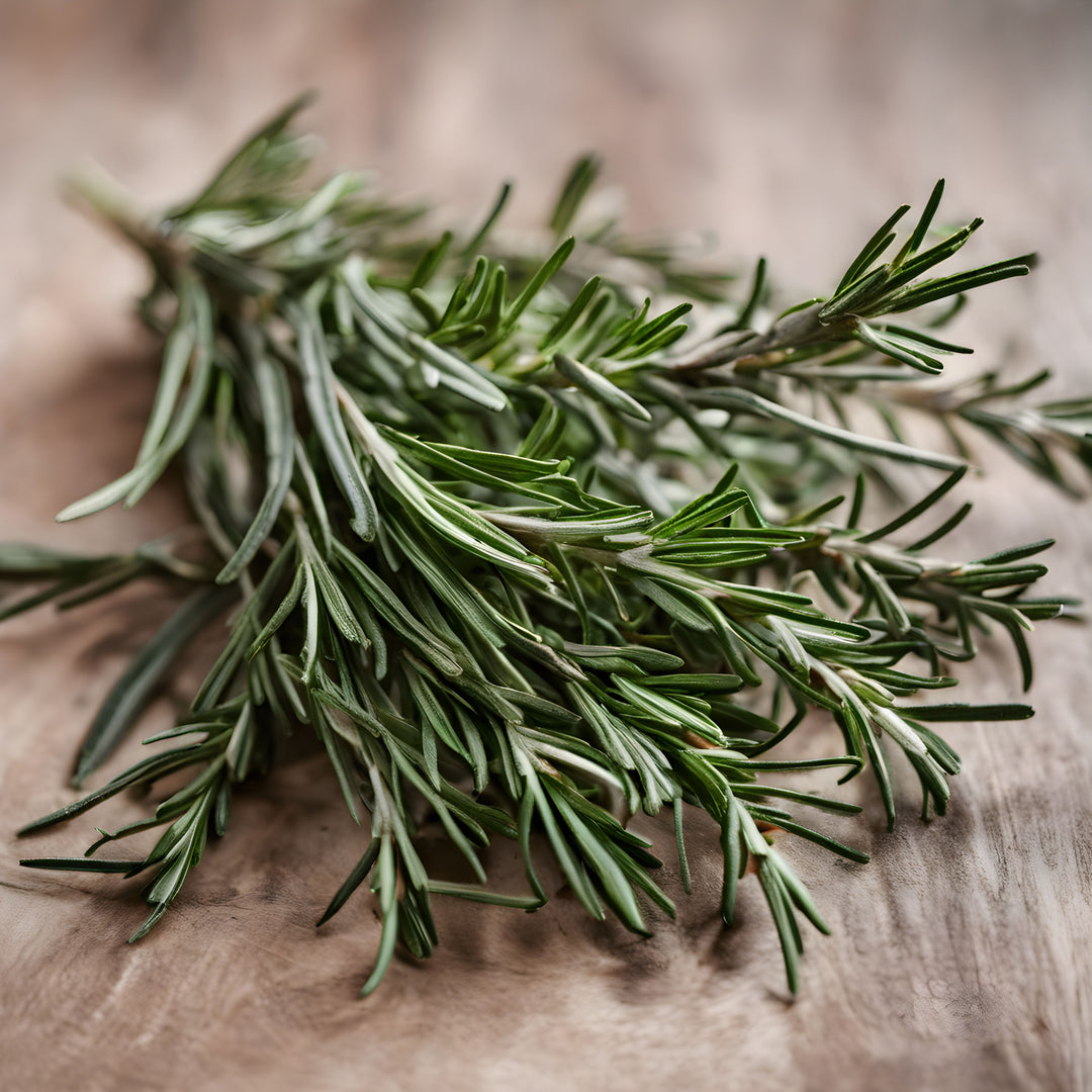 Rosemary Botanical Extract Powder
