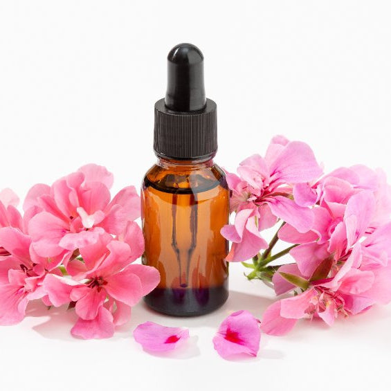 Geranium Fragrance Oil
