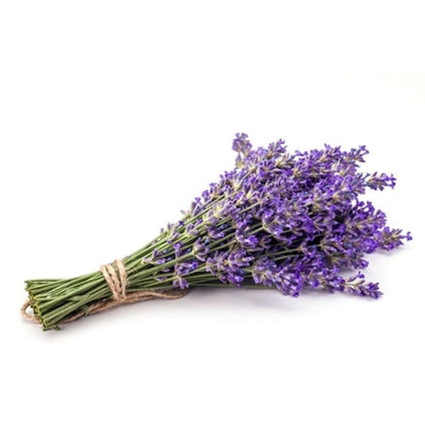 Liquid Lavender Botanical Extract