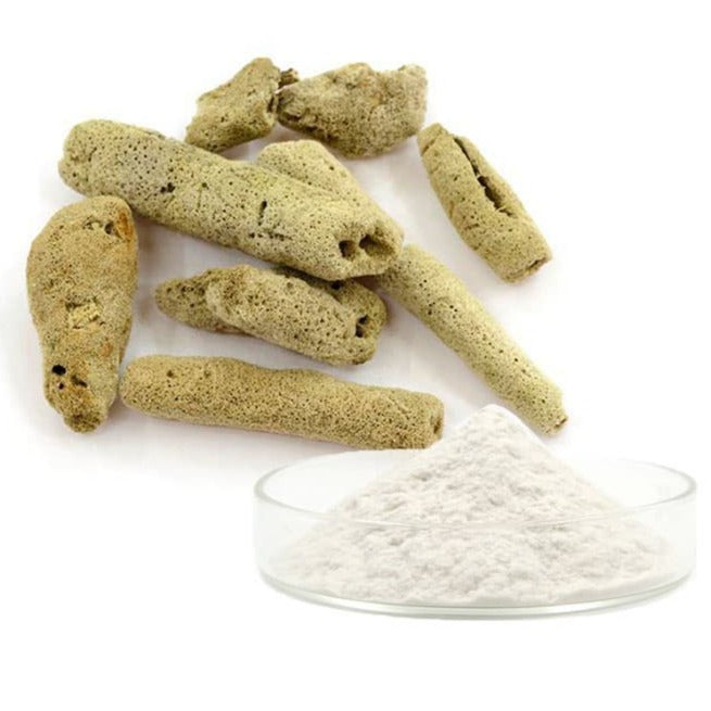 99% Sponge Microneedles hydrolyzed sponge spicule powder