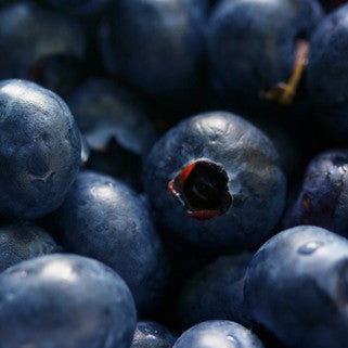 Bilberry Seed Oil - Virgin (Supercritical Co2 Extracted)