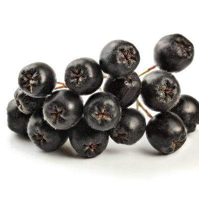 Arronia or chokeberries