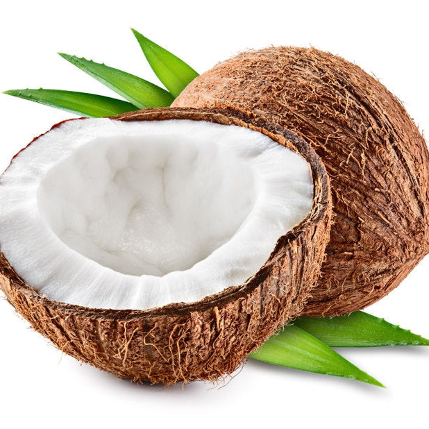 Nature Scents Coconut Extract (Supercritical Co2)  *DISCONTINUED ITEM