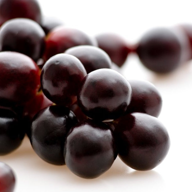 Nature Scents Concord Grape Extract (Supercritical Co2)