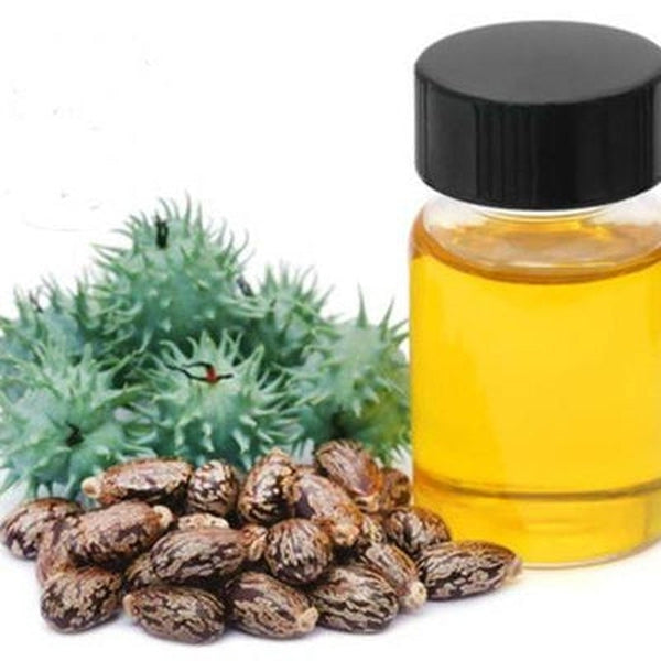 Castor Oil - Organic