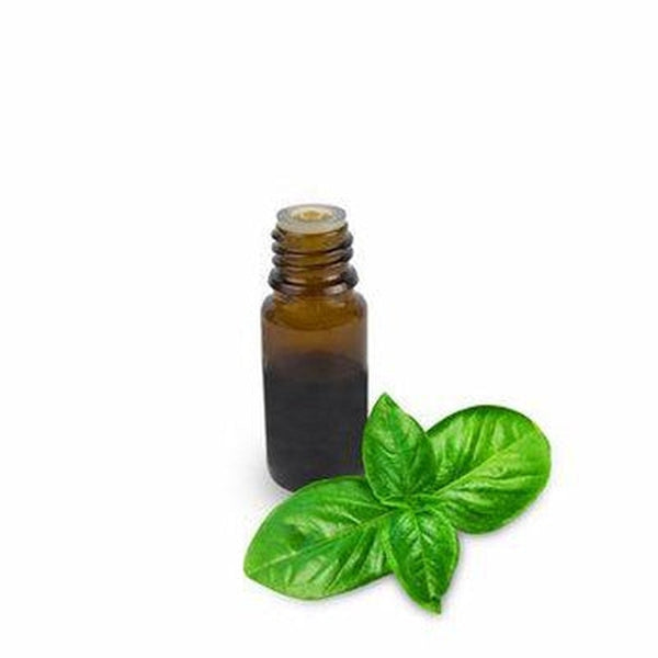 Basil Essential Oil - Organic