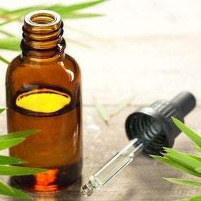 Australian Tea Tree Essential Oil