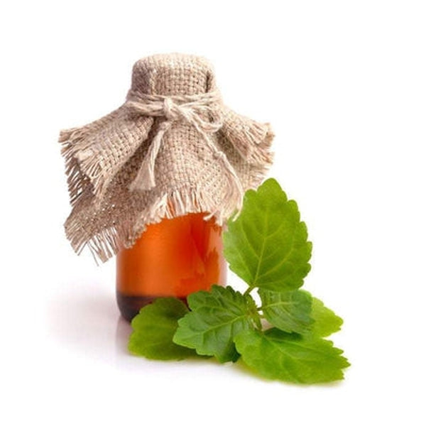 Patchouli Essential Oil - Light or Organic