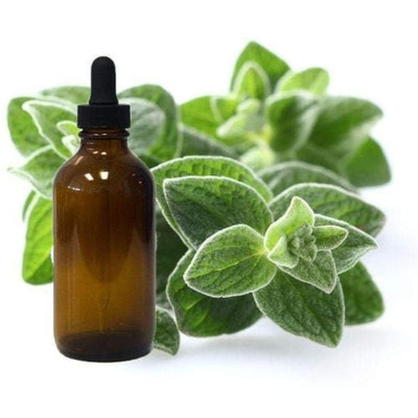 Oregano Essential Oil - Organic