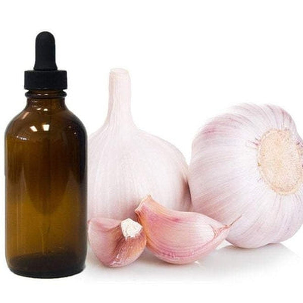 Garlic Essential Oil - Organic