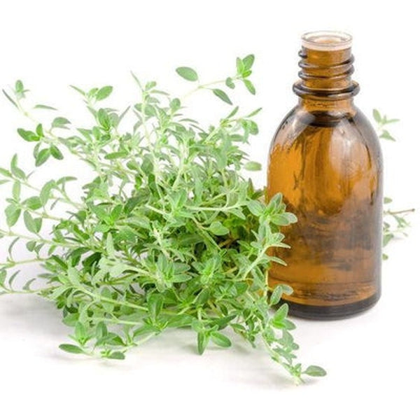 Thyme Essential Oil (Red)