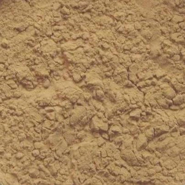 Thyme Botanical Extract Powder