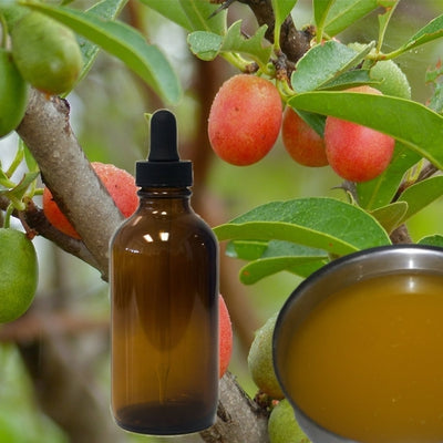 Sour Plum Seed Oil next to plant tree