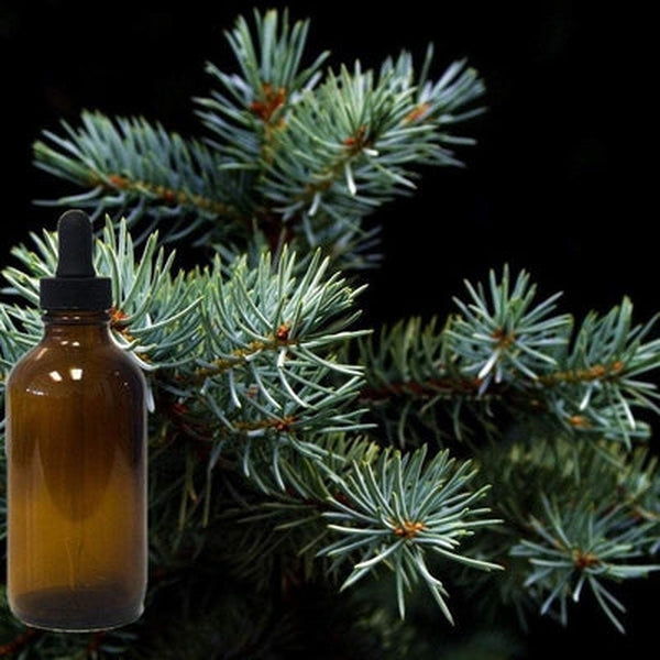 Christmas Tree Essential Oil Blend