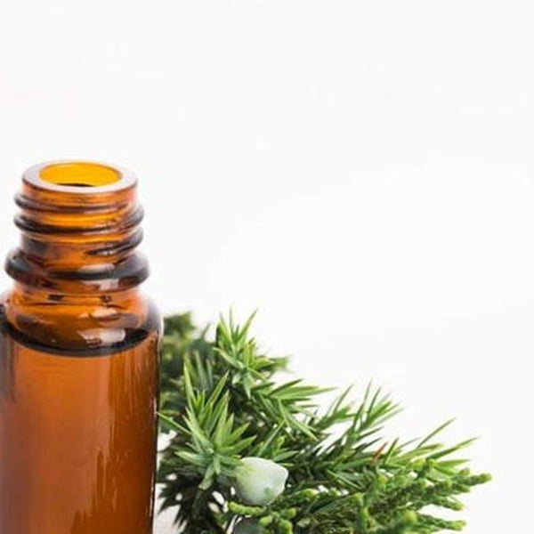 Siberian Fir Needle Essential Oil