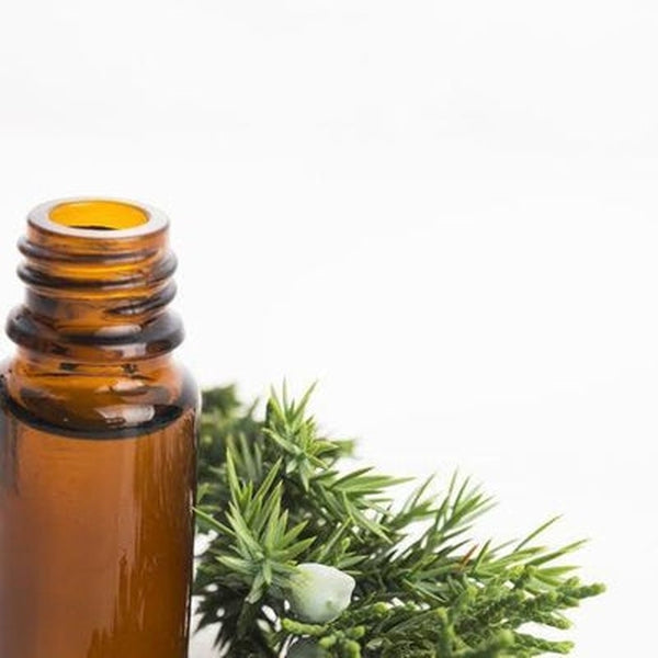 Cypress Essential Oil