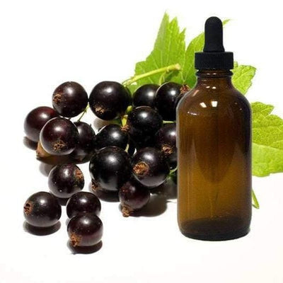 BLACK CURRANT SEED OIL