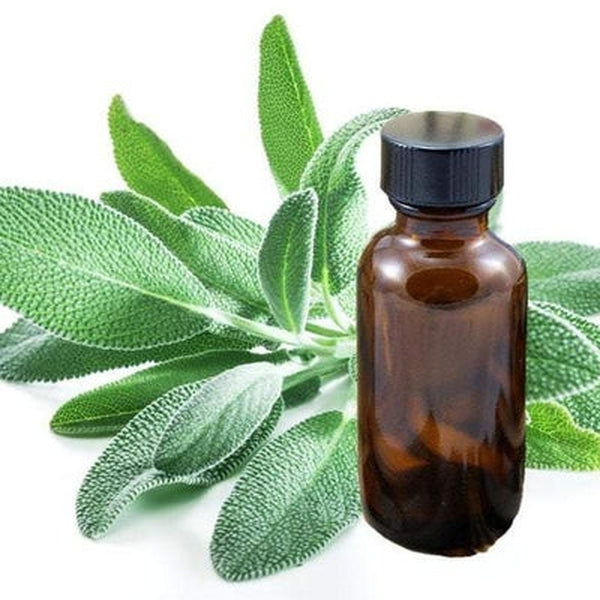 Sage Essential Oil