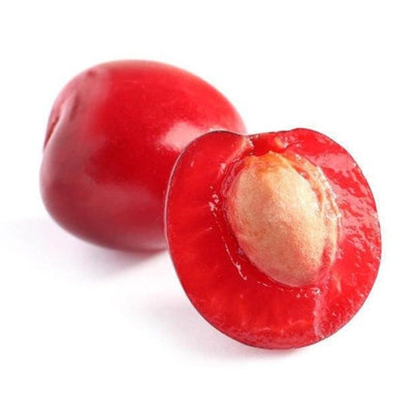 Virgin Cherry Kernel Oil - Organic
