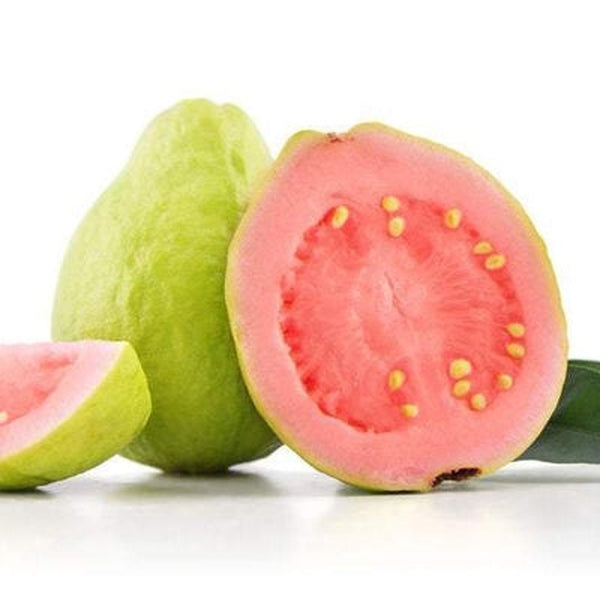 Guava Fruit Extract Powder