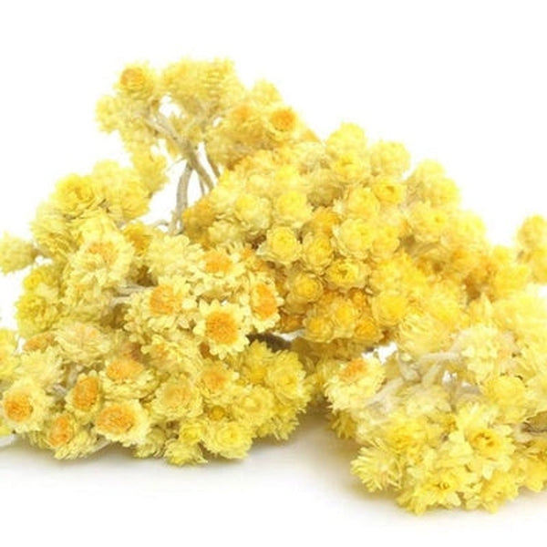 Helichrysum Italicum (IMM/EVER)  Water Hydrosol