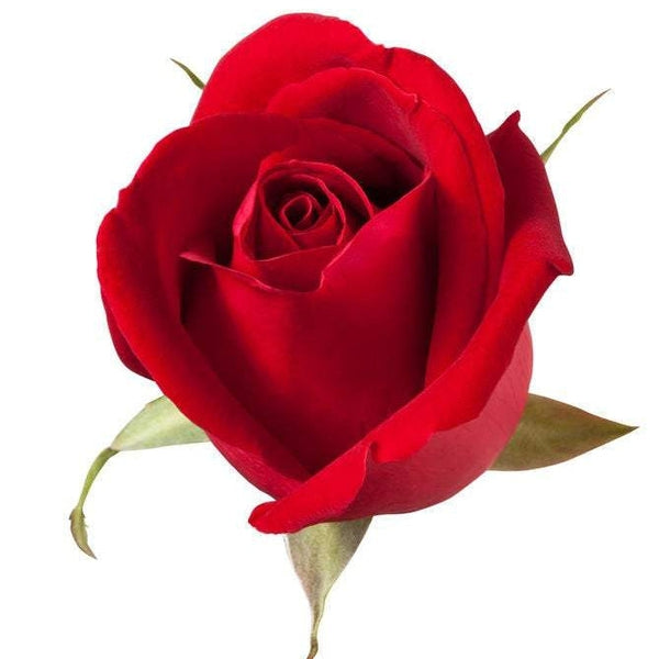 Nature Scents Rose Extract