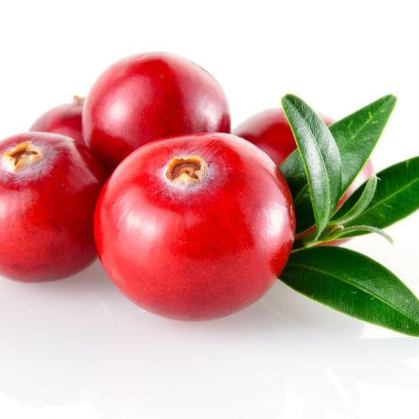 Cranberry Enzyme Water Soluble