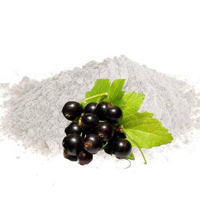 PhytoCide Black Currant Powder Water Soluble Antimicrobial &  Anti-Inflammatory Polyphenol Concentrate