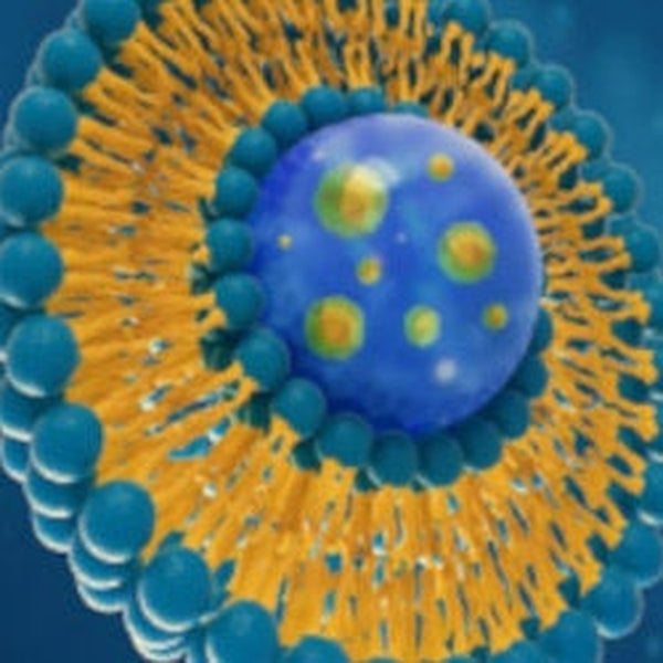 Co-Q10 Liposome Enhanced Delivery System Technology