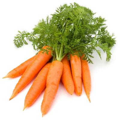 Carrot Extract (Water Soluble) Regenerative/ Anti-aging/ Damaged Skin
