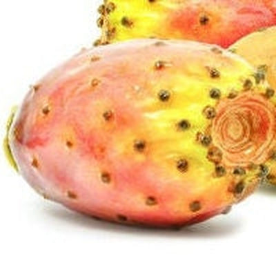 Prickly Pear Extract (Water Soluble) Regenerative/ Anti-aging/ Damaged Skin