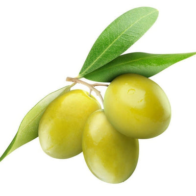 Olive Wax Vegan Cosmetic & Emulsifying Wax