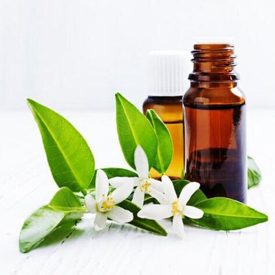 Neroli Essential Oil Egypt (Orange Blossom) Steam Distilled