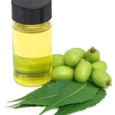 Neem Oil - Virgin