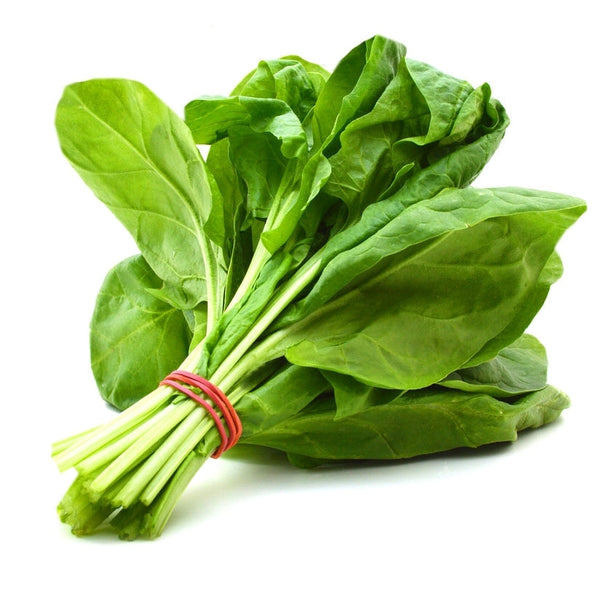 Spinach Botanical Extract Powder